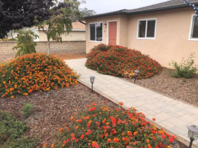 Butterfly Preserve & Sand Dunes STR49